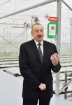 President Ilham Aliyev attends inauguration of Research Institute of Vegetable Growing (PHOTO)