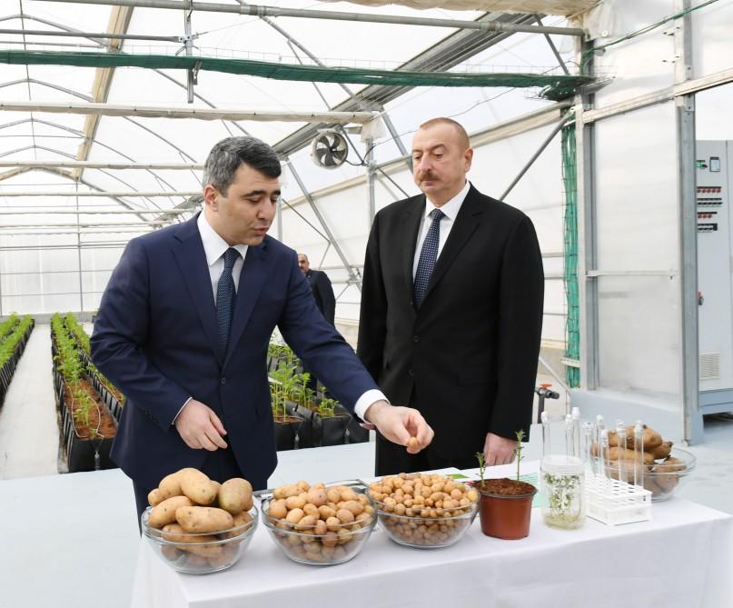 President Ilham Aliyev attends inauguration of Research Institute of Vegetable Growing (PHOTO)