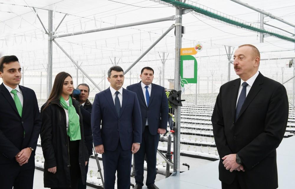 Президент Азербайджана: В настоящее время в сельском хозяйстве проводятся большие реформы, совершенствуется механизм выдачи субсидий