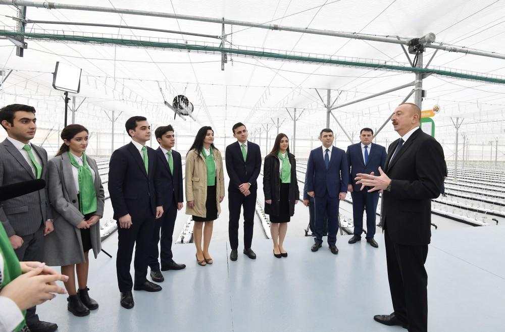 Президент Ильхам Алиев принял участие  в открытии НИИ овощеводства в Баку (ФОТО)