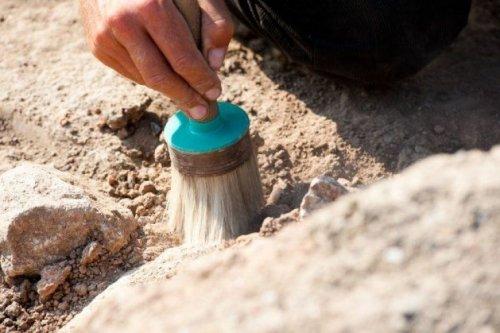 В Сирии обнаружили тайник со старинными артефактами