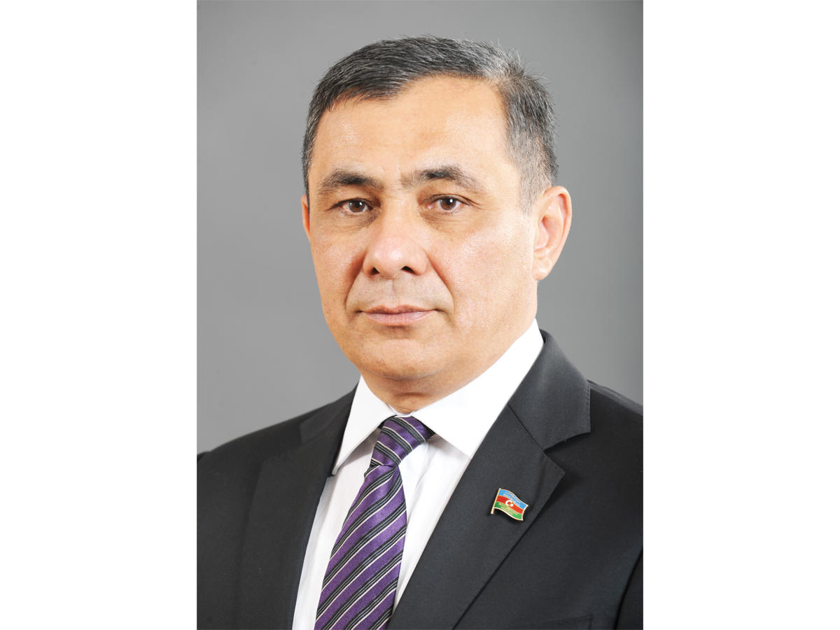 Азербайджанская молодежь не верит антиазербайджанским элементам - депутат