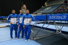 Preparations of Azerbaijani gymnasts for World Cup actively continue (PHOTO)