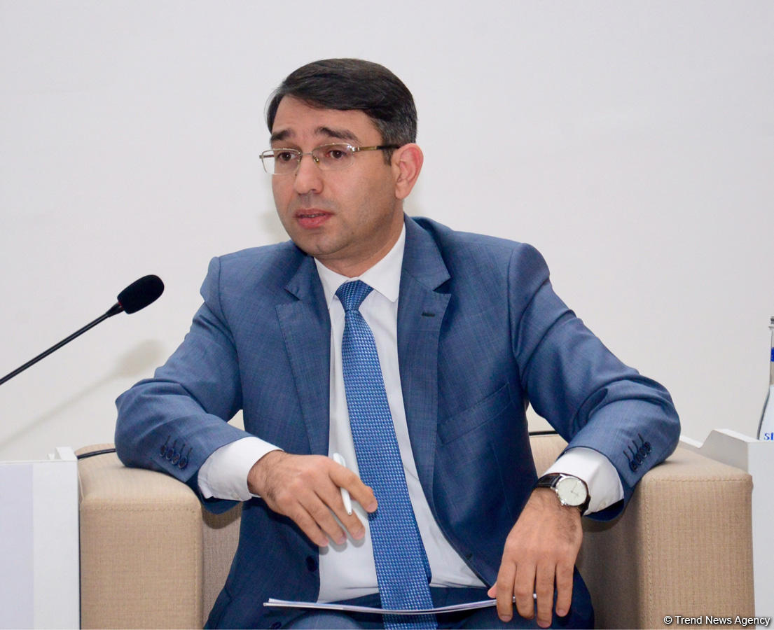 Гюндюз Исмайылов: Пресечена попытка ввоза и распространения в Азербайджане 19 книг, пропагандирующих радикализм