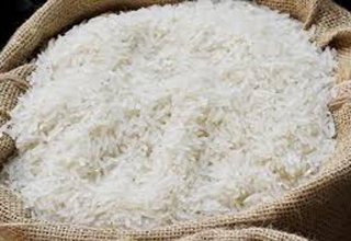 В Дашогузе началась уборка урожая риса