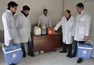 В Азербайджане проводится массовая вакцинация против ящура (ФОТО)