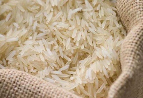 Turkmenistan signs decree on rice production