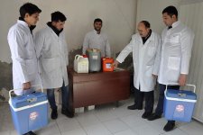 В Азербайджане проводится массовая вакцинация против ящура (ФОТО) - Gallery Thumbnail