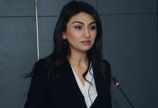 Минналогов: Налоговые реформы в Азербайджане направлены на поддержку предпринимателей