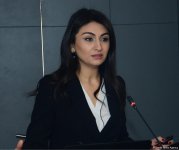Французским компаниям в Азербайджане рассказали об изменениях в налоговое законодательство (ФОТО)