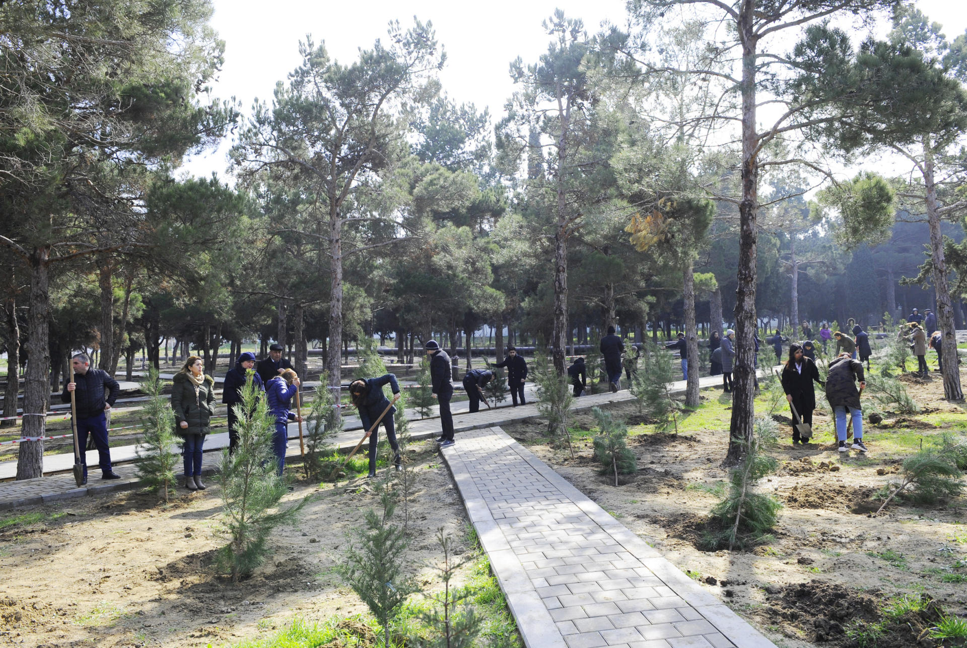 Вице-президент Фонда Гейдара Алиева Лейла Алиева приняла участие в акции по посадке деревьев в рамках кампании "Справедливость к Ходжалы!" (ФОТО)