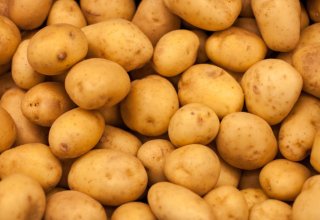 Назван новый сорт репродуктивных семян картофеля, импортируемых в Азербайджан
