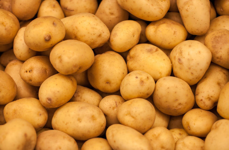 Узбекистан вдвое увеличил импорт семенного картофеля