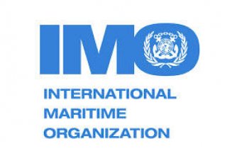 Turkmenistan’s involvement in IMO programs to be maritime authorities' decision - IMO