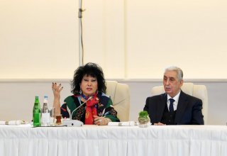 Зейнаб Ханларова: Нужно быть слепым, чтобы не видеть  развитие, красоту Азербайджана