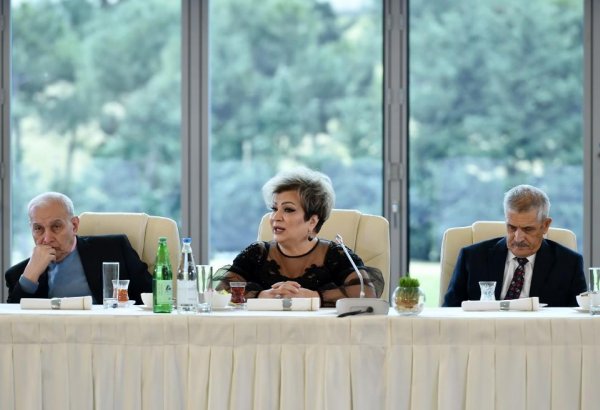 Афаг Баширгызы: Встреча с Президентом Ильхамом Алиевым и Первой леди Мехрибан Алиевой была очень плодотворной и послужит дальнейшему развитию нашей страны