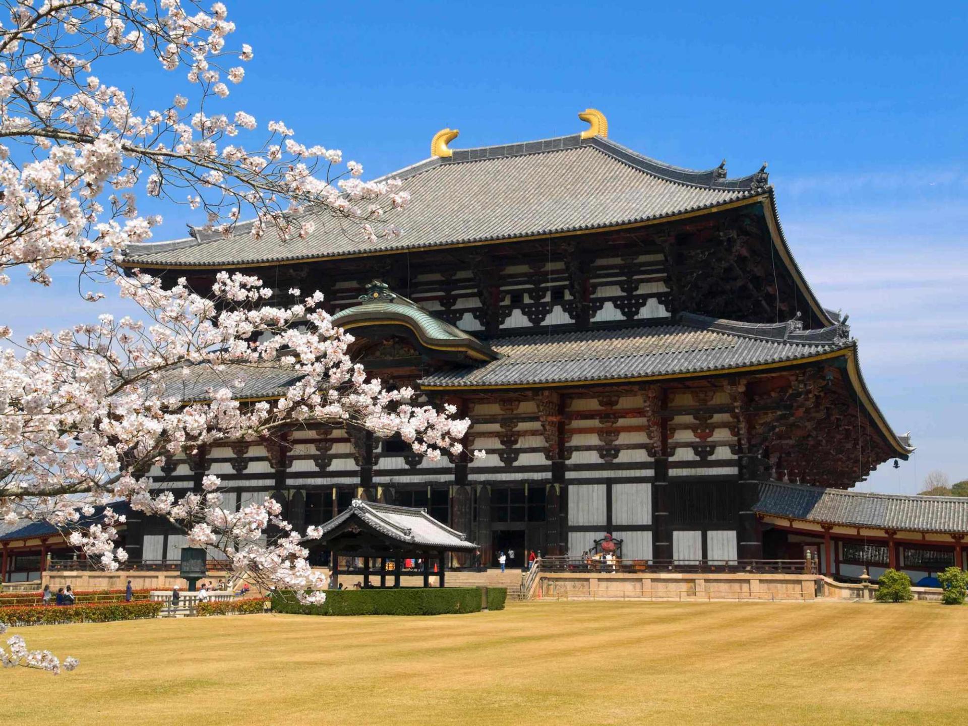 СМИ: Храмы в Японии начали принимать пожертвования через интернет