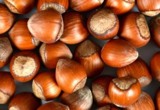 Georgia increases export of hazelnuts