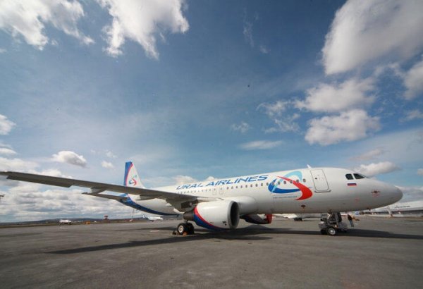 Названы сроки возобновления авиарейсов из Омска в Баку