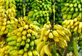 Iran announces details of bananas import
