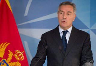 Montenegrin president: High-level relations established between Azerbaijan, Montenegro