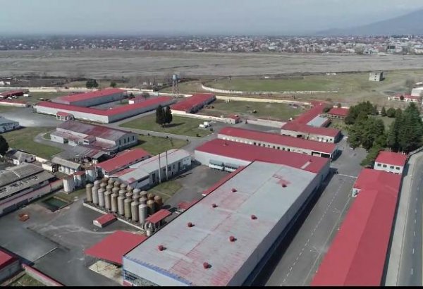 Şəki-Zaqatalada investisiya layihələri üçün 113,7 milyon manat güzəştli kredit ayrılıb (FOTO)