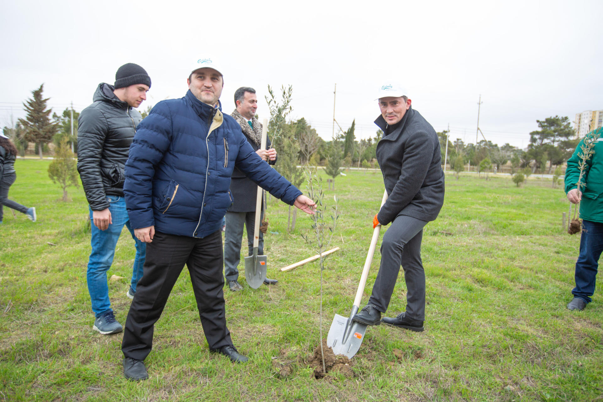 Carlsberg Azerbaijan и Green Baku посадили аллею на территории Бакинского инженерного университета (ФОТО)
