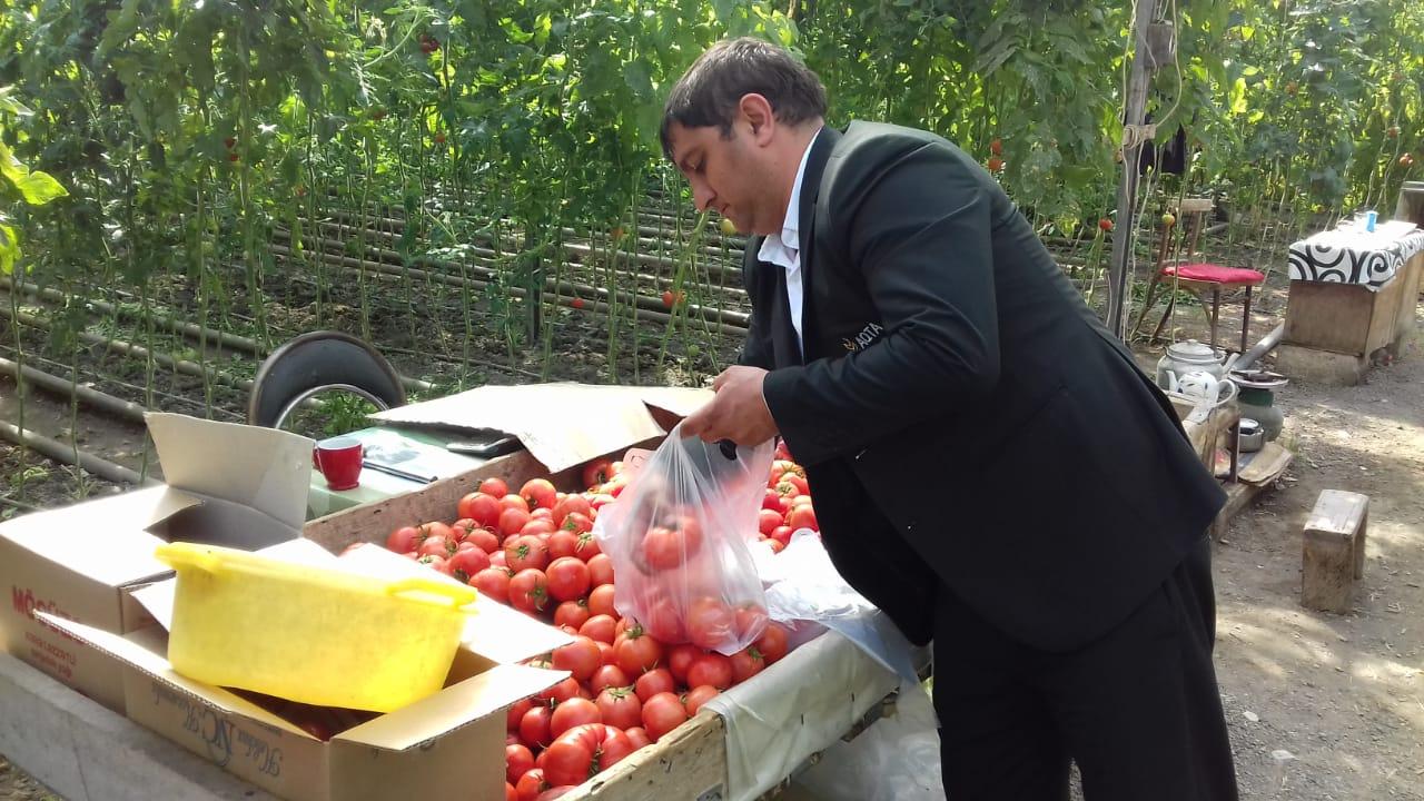 Агентство пищевой безопасности Азербайджана проводит фитосанитарные проверки (ФОТО)