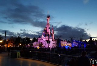 Паника в парижском Disneyland (ВИДЕО)