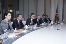Hungary interested in getting Azerbaijani gas (PHOTO)