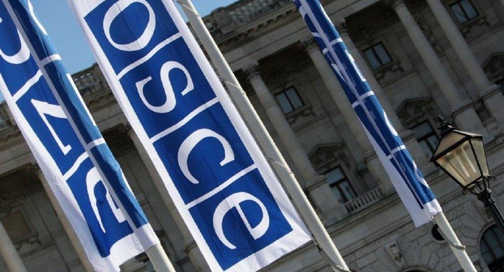 OSCE welcomes efficient organization of elections in Kazakhstan
