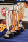 Karateçilərimiz İspaniyada qızıl, gümüş və 2 bürünc medal qazanıb (FOTO)