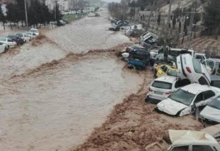 Число жертв наводнений в Иране достигло 69