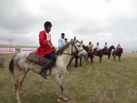 В Шеки прошло конное шествие в честь 10-миллионного жителя Азербайджана (ФОТО)
