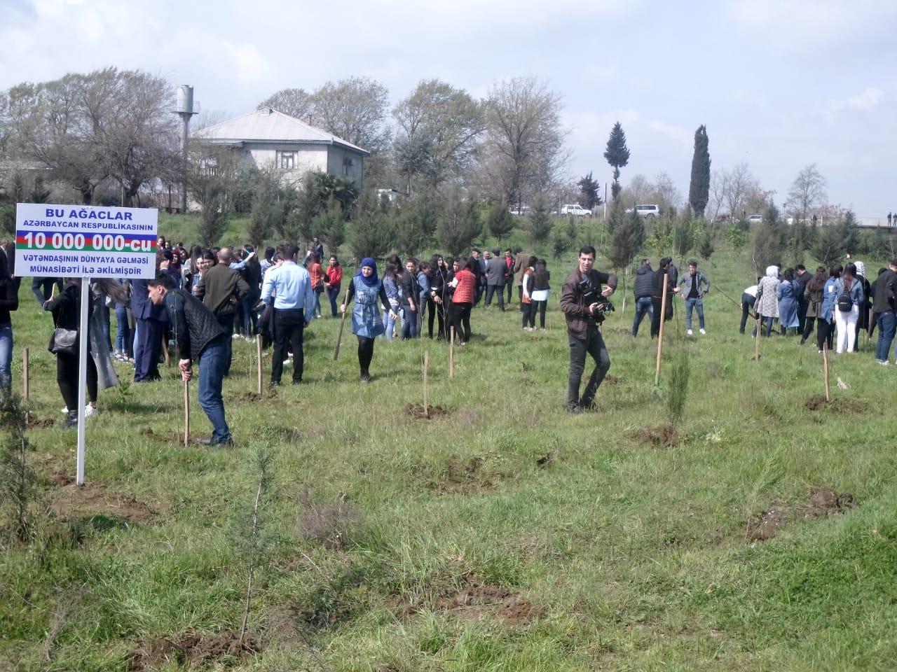 В Азербайджане посадили около 25 тыс. деревьев по случаю рождения 10-миллионного жителя