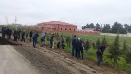 В Азербайджане посадили около 25 тыс. деревьев по случаю рождения 10-миллионного жителя