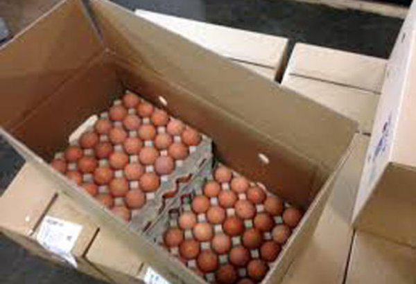 Iran shares data on chicken egg exports