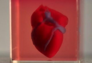 Израильские ученые первыми в мире напечатали живое сердце на 3D-принтере