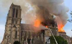 Пожар в соборе Парижской Богоматери ликвидирован (ВИДЕО, ФОТО) (Обновлено)