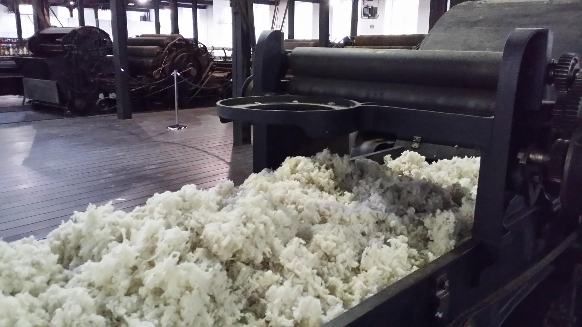 India to import Azerbaijani wool via Azexport website