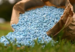 Turkmen chemical plant increases production of mineral fertilizers