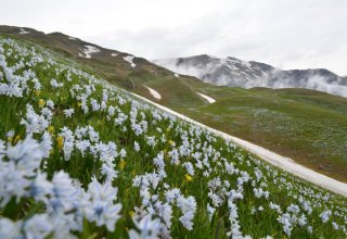 В национальных парках Азербайджана пройдет "день открытых дверей" (ФОТО)
