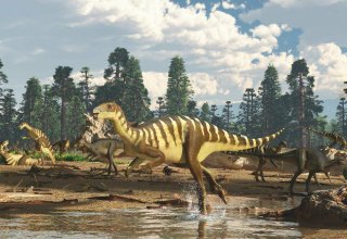 Tailandda yeni dinozavr növü tapıldı