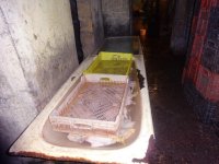 В Азербайджане выявлен очередной подпольный цех по переработке куриного мяса (ФОТО)