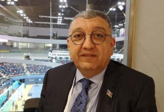 Забота и внимание к спорту в Азербайджане находятся на высоком уровне - депутат