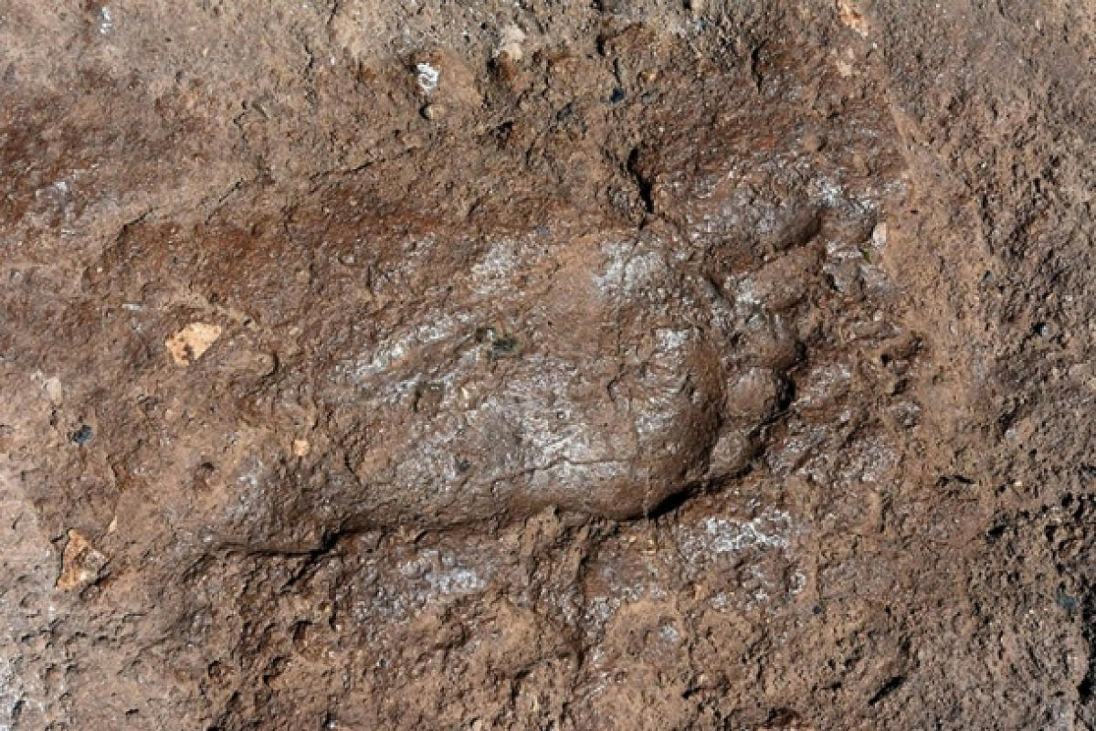 В Чили найдены древнейшие в Америке следы человека