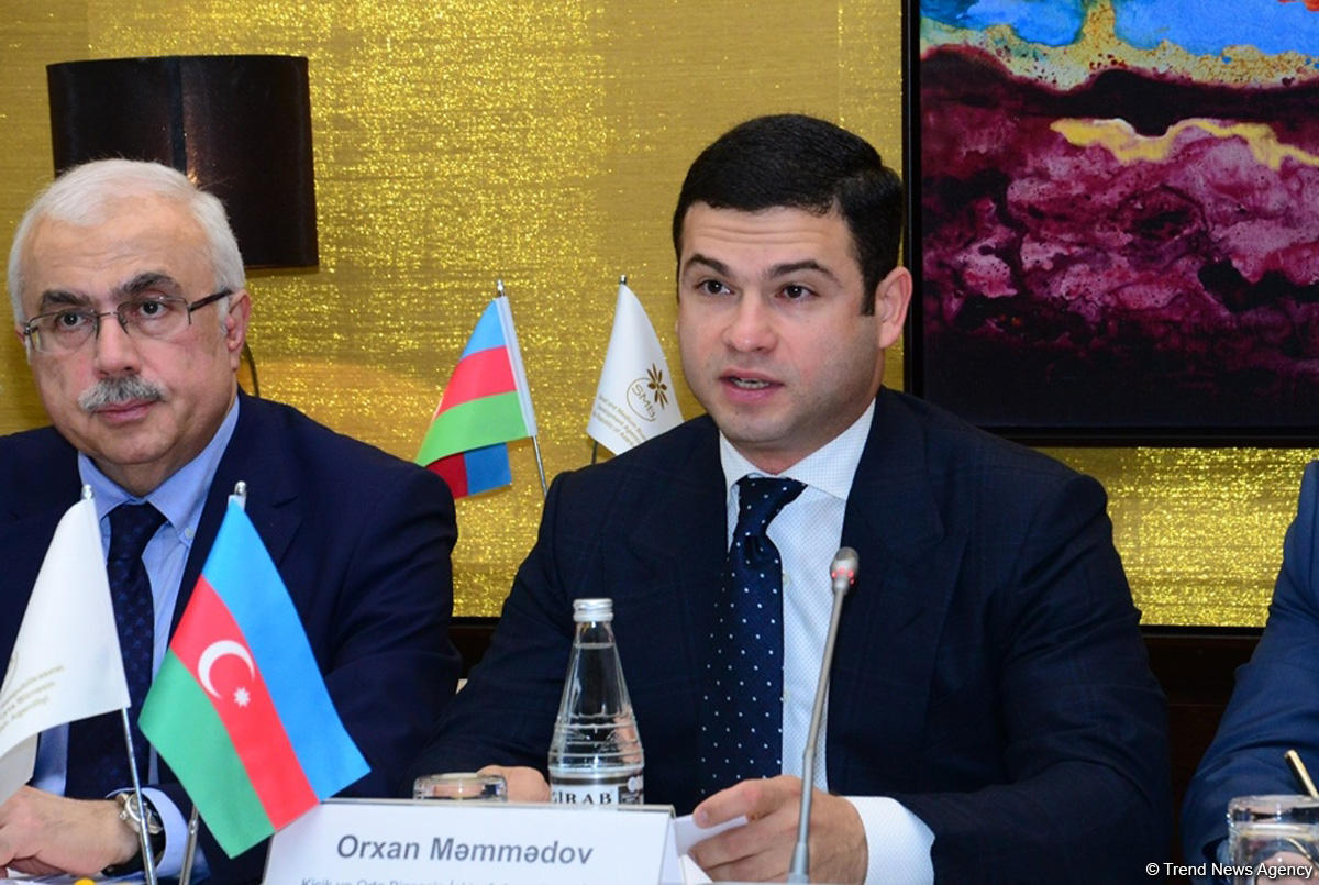 В Азербайджане удельный вес МСБ в занятости превысил 70% - замминистра (ФОТО)