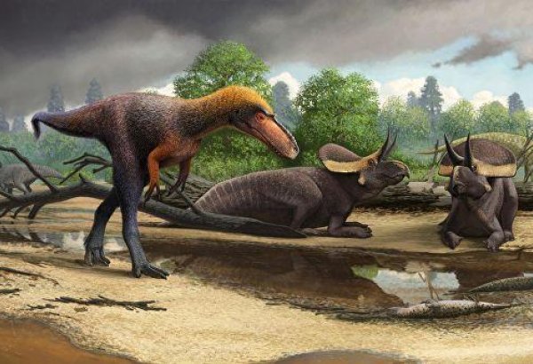 Ученые раскрыли два главных секрета успеха тираннозавров
