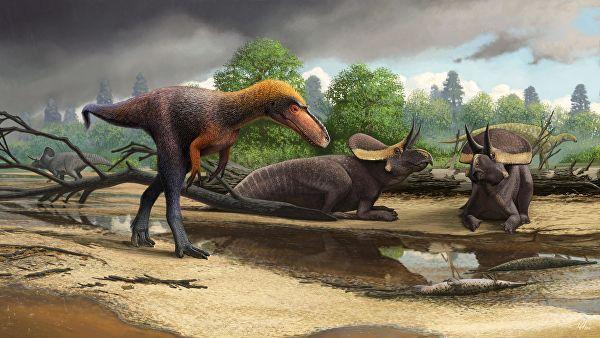 Ученые раскрыли два главных секрета успеха тираннозавров