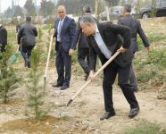 MİDA Heydər Əliyevin doğum gününə həsr olunmuş ağacəkmə aksiyası keçirib (FOTO)